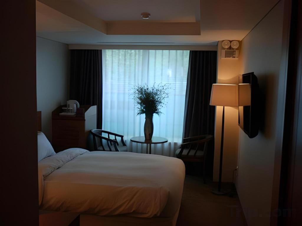 Seoul Rex Hotel Exteriér fotografie